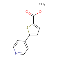 Chemical structure of methyl 5-(pyridin-4-yl)thiophene-2-carboxylate - CSSB00010175330