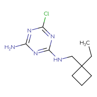 C10H16ClN5