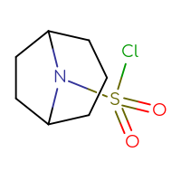 Chemical structure of 8-azabicyclo[3.2.1]octane-8-sulfonyl chloride - CSSB00015590703