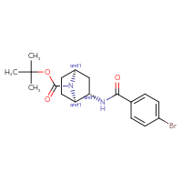 Chemical structure of rac-tert-butyl (1R,2S,4S)-2-(4-bromobenzamido)-7-azabicyclo[2.2.1]heptane-7-carboxylate - CSSB21432562096