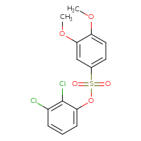 Chemical structure of 2,3-dichlorophenyl 3,4-dimethoxybenzene-1-sulfonate - CSSB00026492289