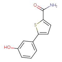 Chemical structure of 5-(3-hydroxyphenyl)thiophene-2-carboxamide - CSSB00010572388