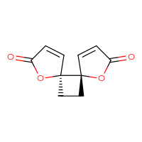 Chemical structure of (5S,6S)-1,7-dioxadispiro[4.0.4⁶.2⁵]dodeca-3,9-diene-2,8-dione - CSSB00042992982