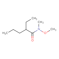 C9H19NO2