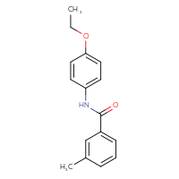 Chemical structure of N-(4-ethoxyphenyl)-3-methylbenzamide - CSSB00046116988