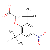 Chemical structure of 2-(2,6-di-tert-butyl-4-nitrophenoxy)acetate - CSSB20960724806