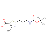 Chemical structure of 2-(3-{[(tert-butoxy)carbonyl]amino}propyl)-4-methyl-1,3-thiazole-5-carboxylic acid - CSSB00134750289