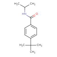 Chemical structure of 4-tert-butyl-N-(propan-2-yl)benzamide - CSSB00000251753