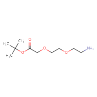 C10H21NO4