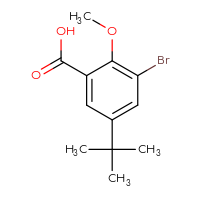 Chemical structure of 3-bromo-5-tert-butyl-2-methoxybenzoic acid - CSSB00010109254