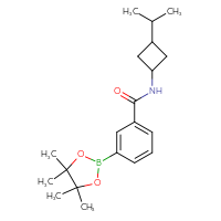 Chemical structure of N-[3-(propan-2-yl)cyclobutyl]-3-(4,4,5,5-tetramethyl-1,3,2-dioxaborolan-2-yl)benzamide - CSSB02229498501