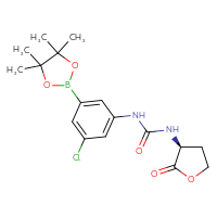 Chemical structure of 1-[3-chloro-5-(4,4,5,5-tetramethyl-1,3,2-dioxaborolan-2-yl)phenyl]-3-[(3S)-2-oxooxolan-3-yl]urea - CSSB21245996546