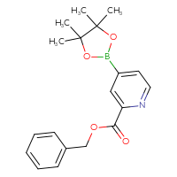 Chemical structure of benzyl 4-(4,4,5,5-tetramethyl-1,3,2-dioxaborolan-2-yl)pyridine-2-carboxylate - CSSB00020825579