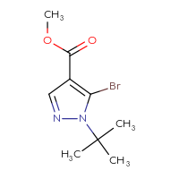 Chemical structure of methyl 5-bromo-1-tert-butyl-1H-pyrazole-4-carboxylate - CSSB00020948995