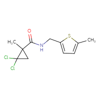 C11H13Cl2NOS