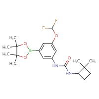 Chemical structure of 1-[3-(difluoromethoxy)-5-(4,4,5,5-tetramethyl-1,3,2-dioxaborolan-2-yl)phenyl]-3-(2,2-dimethylcyclobutyl)urea - CSSB21332134265