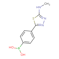 Chemical structure of {4-[5-(methylamino)-1,3,4-thiadiazol-2-yl]phenyl}boronic acid - CSSB00000049393