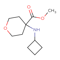 C11H19NO3