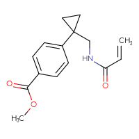 Chemical structure of methyl 4-{1-[(prop-2-enamido)methyl]cyclopropyl}benzoate - CSSB01276572212