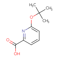 Chemical structure of 6-(tert-butoxy)pyridine-2-carboxylic acid - CSSB00011630618