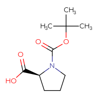 C10H17NO4