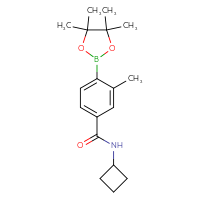 Chemical structure of N-cyclobutyl-3-methyl-4-(4,4,5,5-tetramethyl-1,3,2-dioxaborolan-2-yl)benzamide - CSSB00150720054