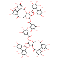 Chemical structure of (1R,2S,19R,20R,22R)-7,8,9,12,13,14,28,29,30,33,34,35-dodecahydroxy-4,17,25,38-tetraoxo-3,18,21,24,39-pentaoxaheptacyclo[20.17.0.0²,¹⁹.0⁵,¹⁰.0¹¹,¹⁶.0²⁶,³¹.0³²,³⁷]nonatriaconta-5(10),6,8,11,13,15,26,28,30,32(37),33,35-dodecaen-20-yl 2-[5-({[(1R,2S,19R,20R,22R)-7,8,9,12,13,14,28,29,30,33,34,35-dodecahydroxy-4,17,25,38-tetraoxo-3,18,21,24,39-pentaoxaheptacyclo[20.17.0.0²,¹⁹.0⁵,¹⁰.0¹¹,¹⁶.0²⁶,³¹.0³²,³⁷]nonatriaconta-5,7,9,11(16),12,14,26,28,30,32(37),33,35-dodecaen-20-yl]oxy}carbonyl)-2,3-dihydroxyphenoxy]-3,4,5-trihydroxybenzoate - CSSB09881015282