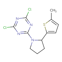 Chemical structure of 2,4-dichloro-6-[2-(5-methylthiophen-2-yl)pyrrolidin-1-yl]-1,3,5-triazine - CSSB21332060045