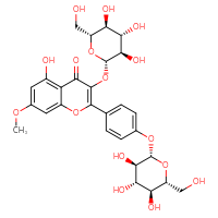 Chemical structure of 5-hydroxy-7-methoxy-3-{[(2S,3R,4S,5S,6R)-3,4,5-trihydroxy-6-(hydroxymethyl)oxan-2-yl]oxy}-2-(4-{[(2S,3R,4S,5S,6R)-3,4,5-trihydroxy-6-(hydroxymethyl)oxan-2-yl]oxy}phenyl)-4H-chromen-4-one - CSSB00016991008