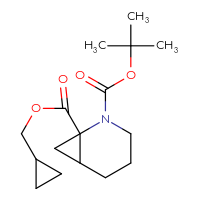C16H25NO4