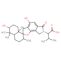 Chemical structure of 2-{4,6'-dihydroxy-2',5',5',8'a-tetramethyl-6-oxo-3,3',4',4'a,5',6,6',7,7',8,8',8'a-dodecahydro-2'H-spiro[furo[2,3-e]isoindole-2,1'-naphthalen]-7-yl}-3-methylbutanoic acid - CSSB00161148231