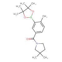 Chemical structure of 3,3-dimethyl-1-[4-methyl-3-(4,4,5,5-tetramethyl-1,3,2-dioxaborolan-2-yl)benzoyl]pyrrolidine - CSSB02533261426
