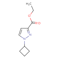 Chemical structure of ethyl 1-cyclobutyl-1H-pyrazole-3-carboxylate - CSSB00033951462
