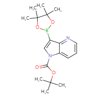 Chemical structure of tert-butyl 3-(4,4,5,5-tetramethyl-1,3,2-dioxaborolan-2-yl)-1H-pyrrolo[3,2-b]pyridine-1-carboxylate - CSSB00010296062