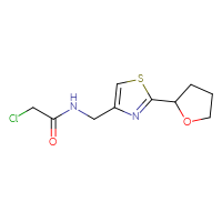 Chemical structure of 2-chloro-N-{[2-(oxolan-2-yl)-1,3-thiazol-4-yl]methyl}acetamide - CSSB06428092005