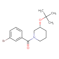Chemical structure of (3R)-1-(3-bromobenzoyl)-3-(tert-butoxy)piperidine - CSSB01961654743