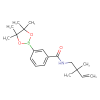 Chemical structure of N-(2,2-dimethylbut-3-en-1-yl)-3-(4,4,5,5-tetramethyl-1,3,2-dioxaborolan-2-yl)benzamide - CSSB02195989477