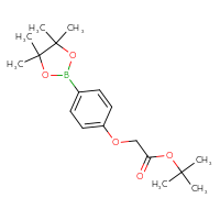 Chemical structure of tert-butyl 2-[4-(4,4,5,5-tetramethyl-1,3,2-dioxaborolan-2-yl)phenoxy]acetate - CSSB00021613970