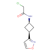 Chemical structure of 2-chloro-N-[(1s,3s)-3-(1,2-oxazol-3-yl)cyclobutyl]acetamide - CSSB02493397999