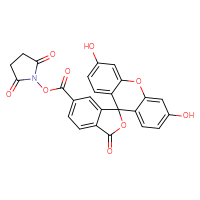 Chemical structure of 2,5-dioxopyrrolidin-1-yl 3',6'-dihydroxy-3-oxo-3H-spiro[2-benzofuran-1,9'-xanthene]-6-carboxylate - CSSB00000133089