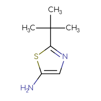 Chemical structure of 2-tert-butyl-1,3-thiazol-5-amine - CSSB00011604622