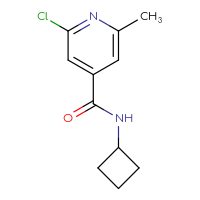 Chemical structure of 2-chloro-N-cyclobutyl-6-methylpyridine-4-carboxamide - CSSB00013302370