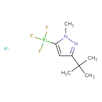 Chemical structure of potassium (3-tert-butyl-1-methyl-1H-pyrazol-5-yl)trifluoroboranuide - CSSB00010872069
