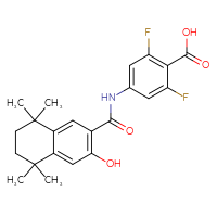 Chemical structure of 2,6-difluoro-4-(3-hydroxy-5,5,8,8-tetramethyl-5,6,7,8-tetrahydronaphthalene-2-amido)benzoic acid - CSSB00134616361