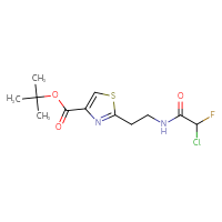 Chemical structure of tert-butyl 2-[2-(2-chloro-2-fluoroacetamido)ethyl]-1,3-thiazole-4-carboxylate - CSSB21332122996
