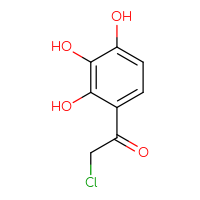 Chemical structure of 2-chloro-1-(2,3,4-trihydroxyphenyl)ethan-1-one - CSSB00010003312