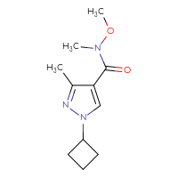 Chemical structure of 1-cyclobutyl-N-methoxy-N,3-dimethyl-1H-pyrazole-4-carboxamide - CSSB01148881094