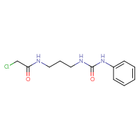 Chemical structure of 2-chloro-N-{3-[(phenylcarbamoyl)amino]propyl}acetamide - CSSB21105623191