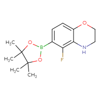 C14H19BFNO3