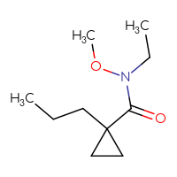C10H19NO2